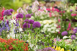 RHS Chelsea Flower Show